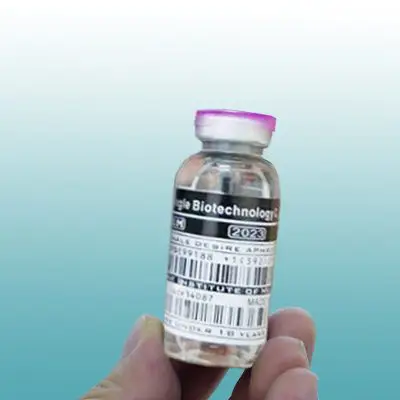 Cách sử dụng thuốc kích dục Drunk Girl