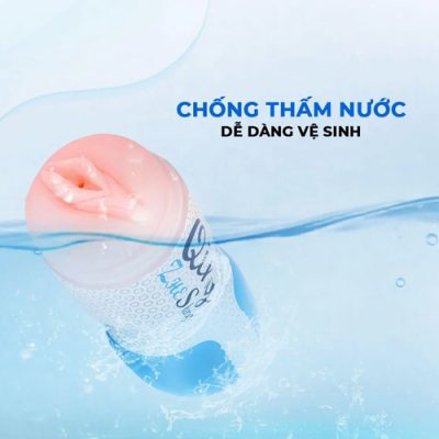 Âm Đạo Giả Qing