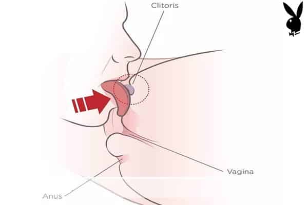 Kỹ thuật kích thích hột le