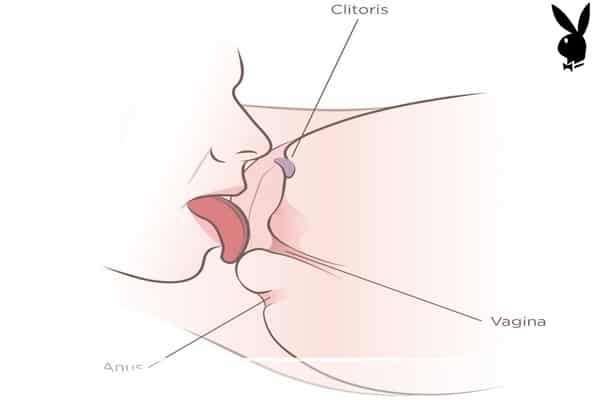 Kỹ thuật kích thích môi lớn