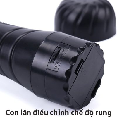 Âm đạo giả Bussy