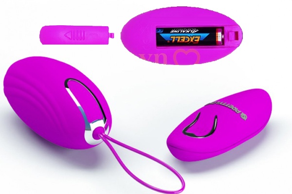 Lắp pin vào bộ phận điều khiển theo đúng chiều Lắp pin vào bộ phận điều khiển theo đúng chiều