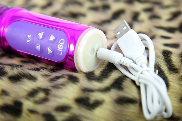 Chim giả Libo sử dụng đầu sạc USB tiện lợi