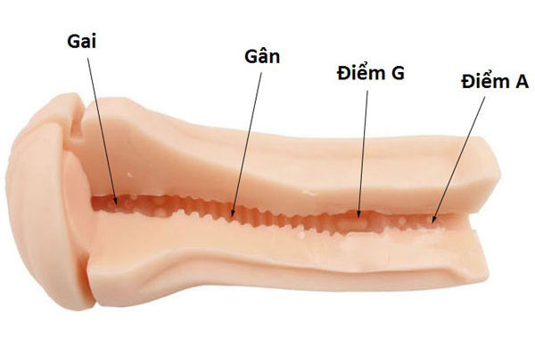 Sản phẩm được thiết kế chân thật, với những điểm G đầy khoái cảm