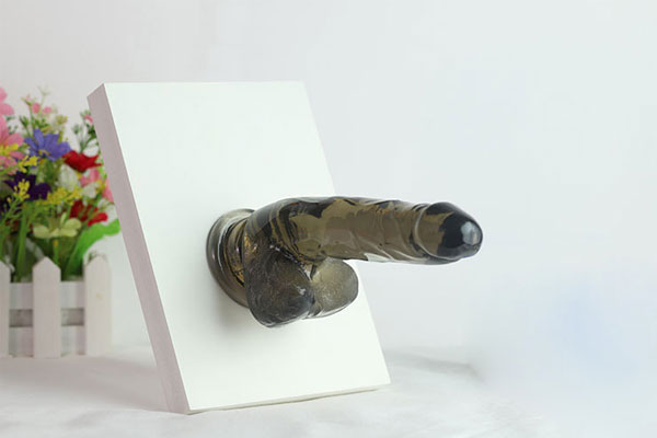 Dương vật giả gắn tường 
