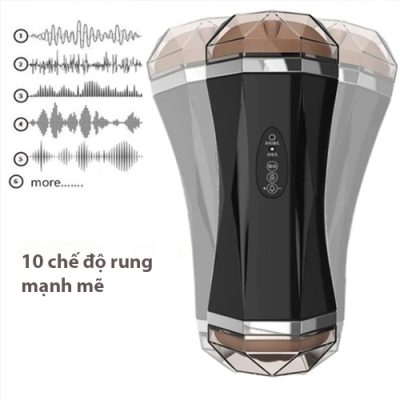 Âm đạo giả Secwell 2 đầu