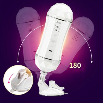 Âm đạo giả SECWELL