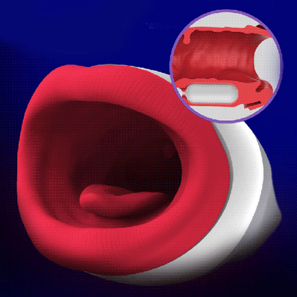 Cấu tạo bên trong y hệt chiếc miệng xin xắn của chị em