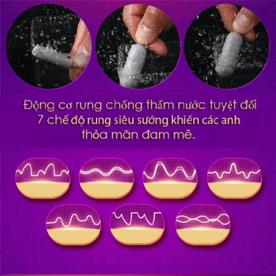 Âm đạo giả Leten Amt Aircraft