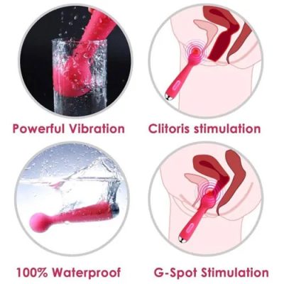 Chày rung tình yêu Svakom Mini Emma