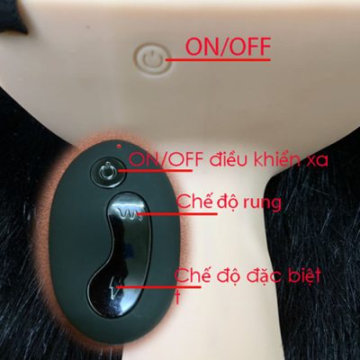 Dương vật dây đeo có rung Harness Curved Dong